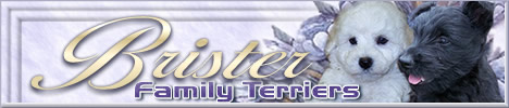 Brister Family Terriers Logo